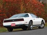Pontiac Firebird Trans Am 1983 года